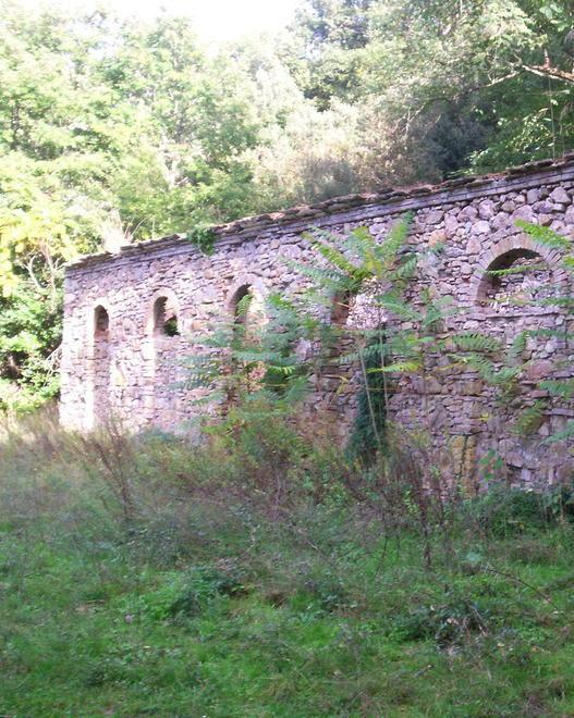 «Il parco di Montioni non esiste» 