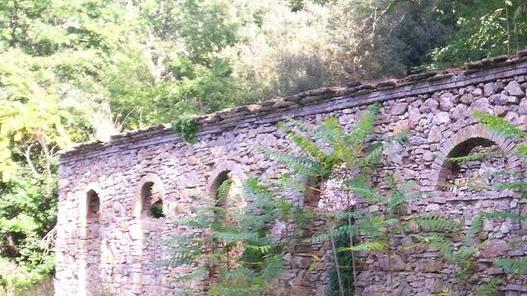 «Il parco di Montioni non esiste»