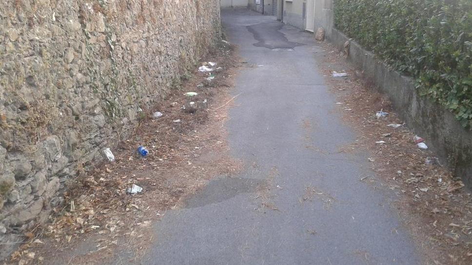 “Potenziare lo spazzamento delle strade”