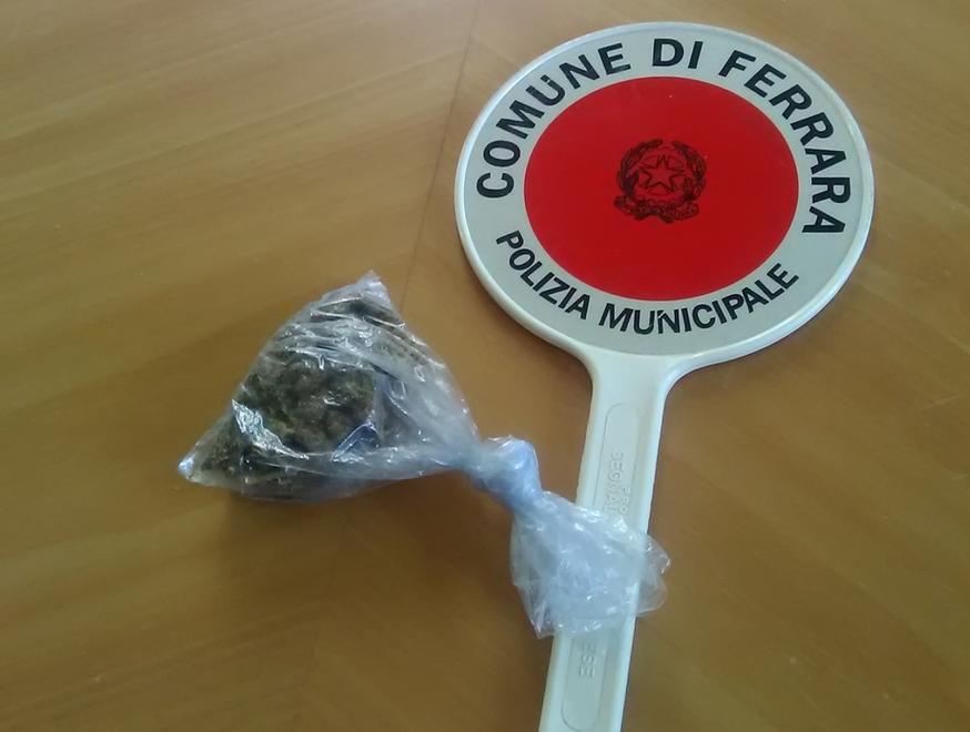 Trovata altra droga dai vigili 