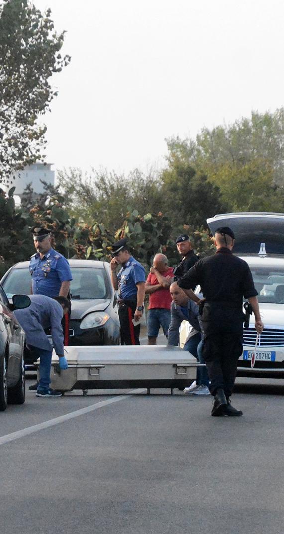 Investe una lepre: la prende e un’auto lo travolge e uccide 