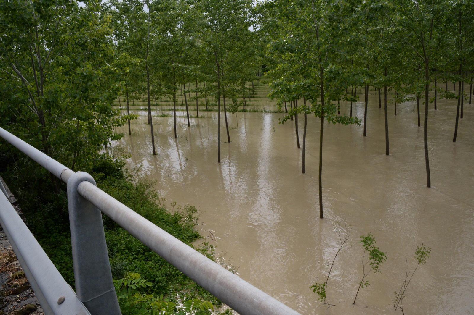 Allerta meteo, in Toscana criticità arancione