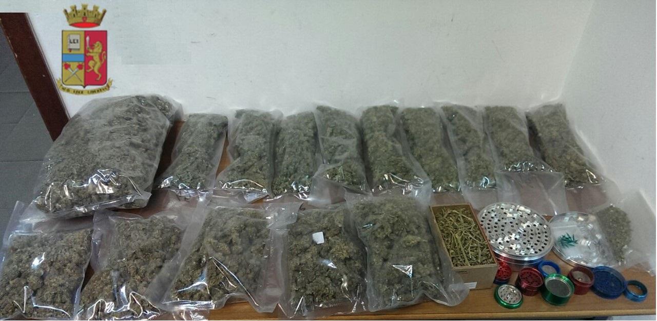 Lo arrestano per furto e in casa gli trovano un chilo e mezzo di marijuana