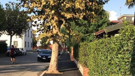 Risistemati i marciapiedi in tre vie di Altopascio