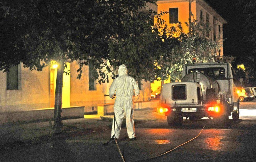 Dengue, già dimessi i due giovani contagiati 