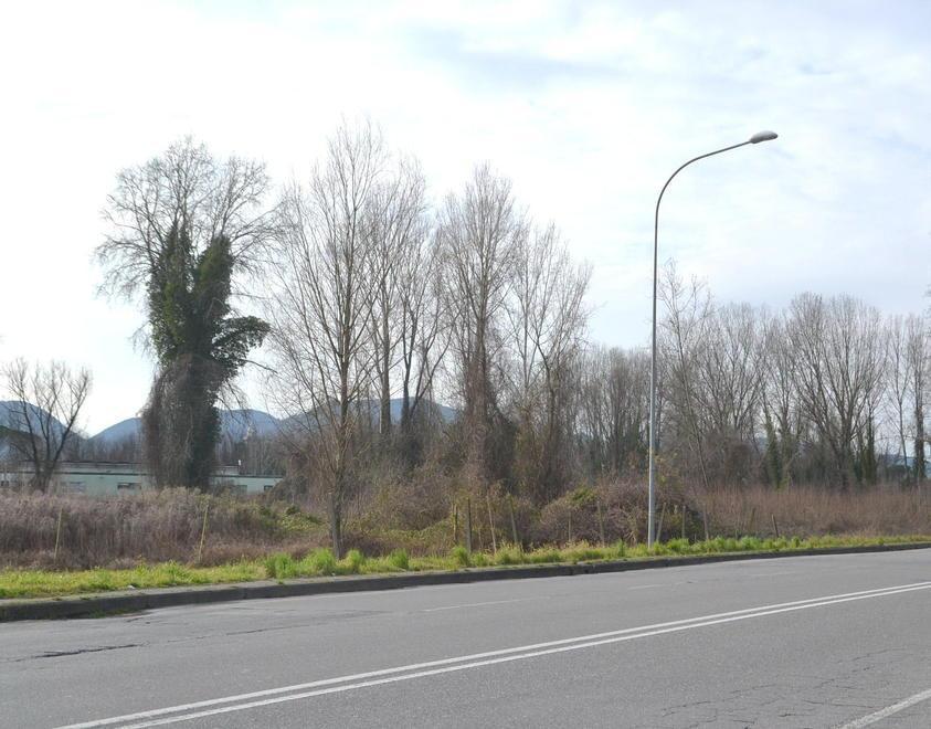 Dieci anni dell’Associazione parco Sant’Anna 