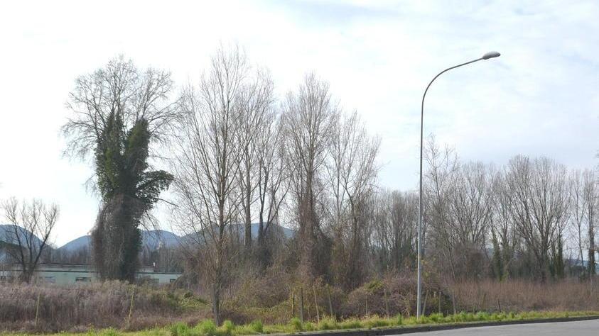 Dieci anni dell’Associazione parco Sant’Anna