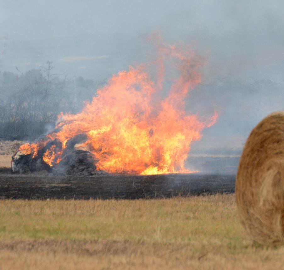Estate di fuoco in Sardegna, 800 roghi e 11mila ettari in fumo