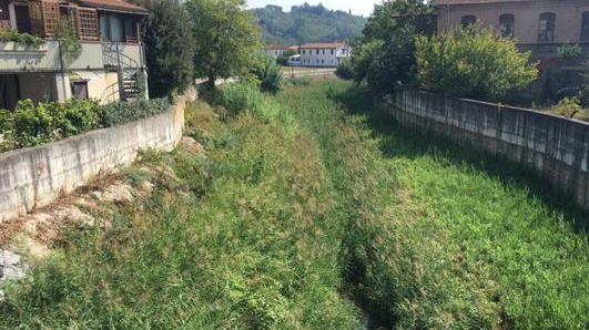 Scogliera per difendere Ponte a Egola dalle piene