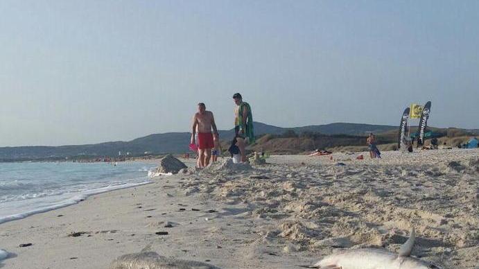«Colpa del vento, ci scusiamo»