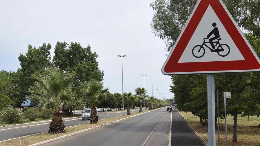 Piste ciclabili urbane Obiettivo: raddoppiarle
