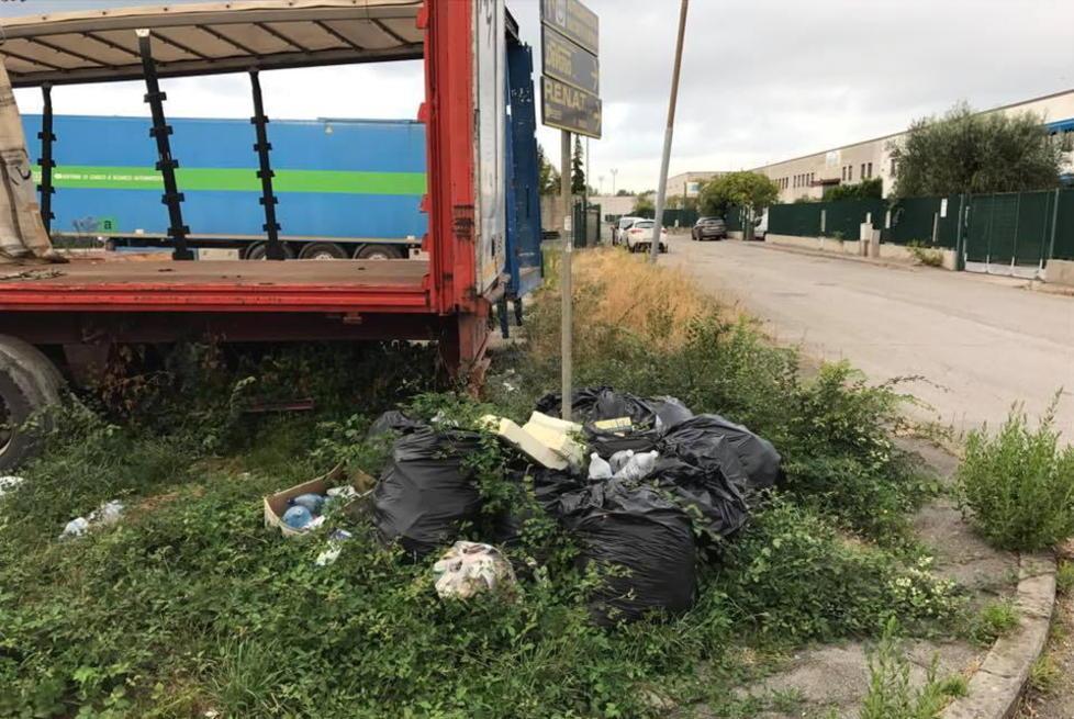 «Rifiuti abbandonati nella zona di Carraia»