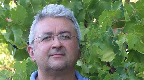 Quel vigneto a “piede franco” Una nicchia per il lambrusco