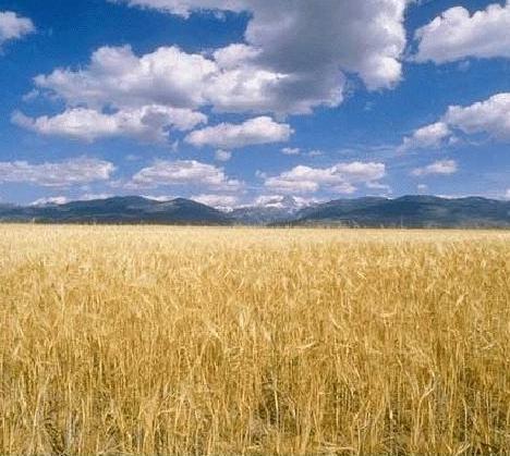 Aree interne, 15 milioni per l’Alta Marmilla 