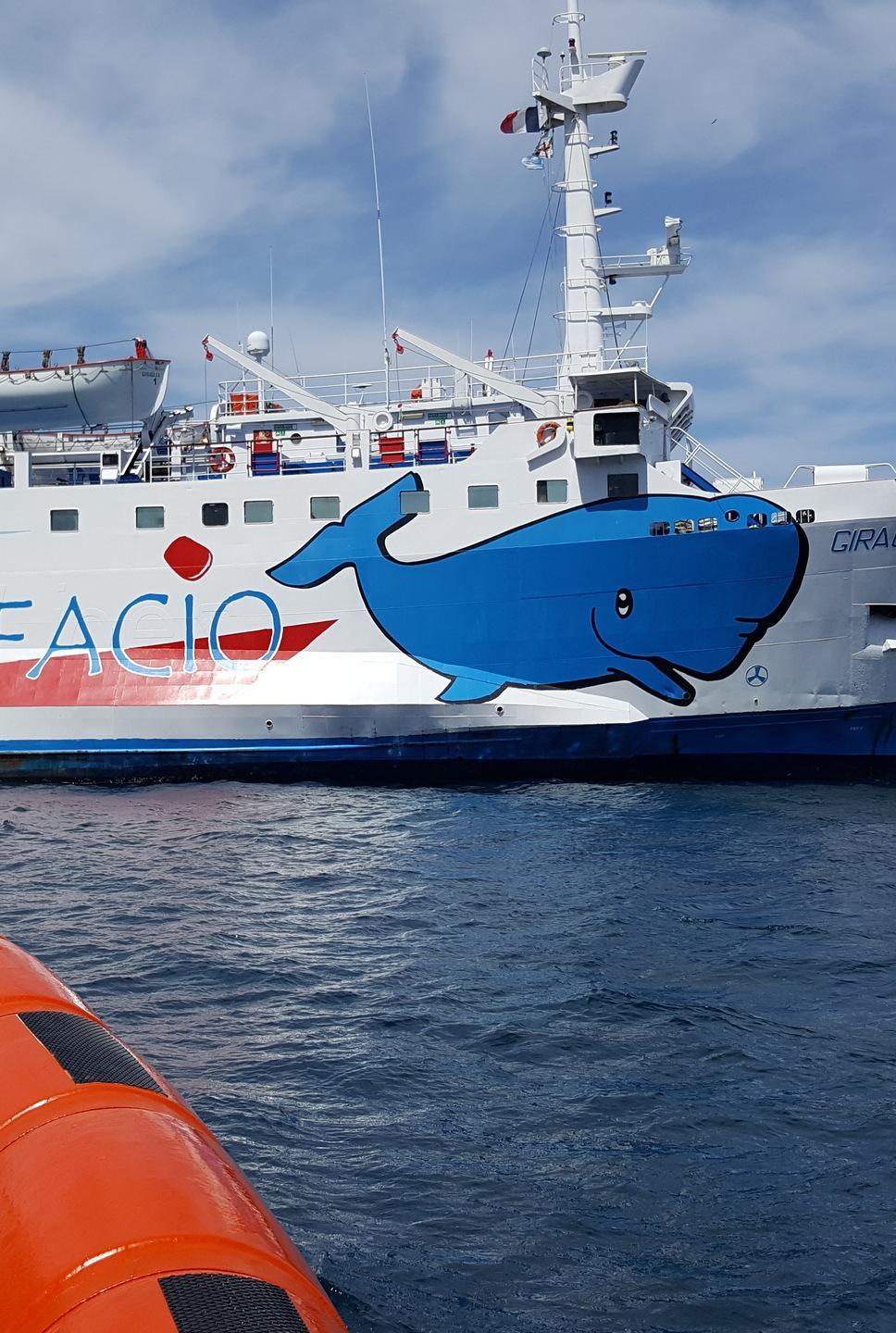 Navi ferme e alberi sradicati: un ferito 