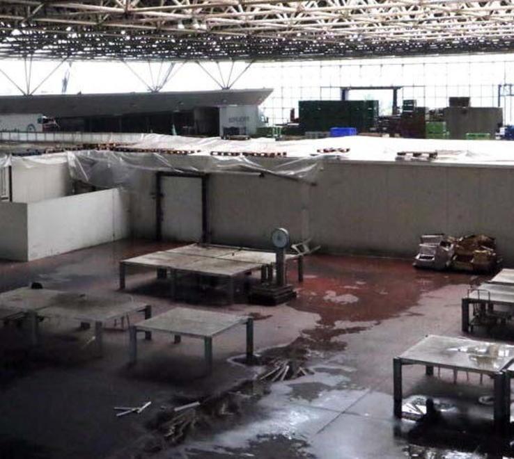 Jare, via i lavori di recupero Cantiere da 450.000 euro 