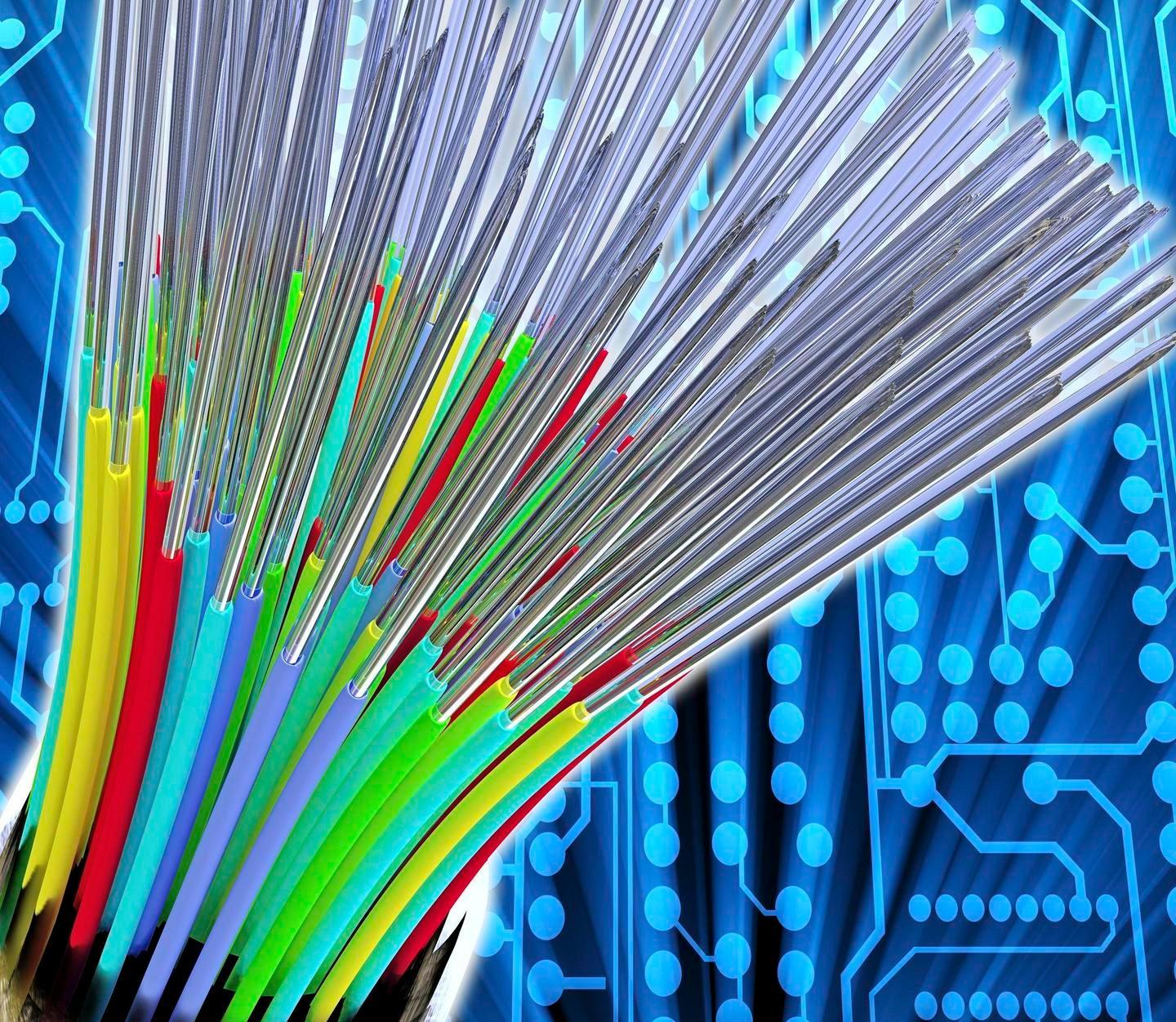 Fibra ottica mangiata dai topi tecnici Tim riparano il guasto