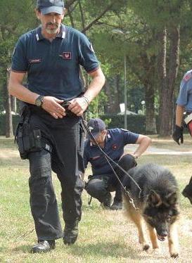 Arrestata 20 giorni fa, spaccia di nuovo