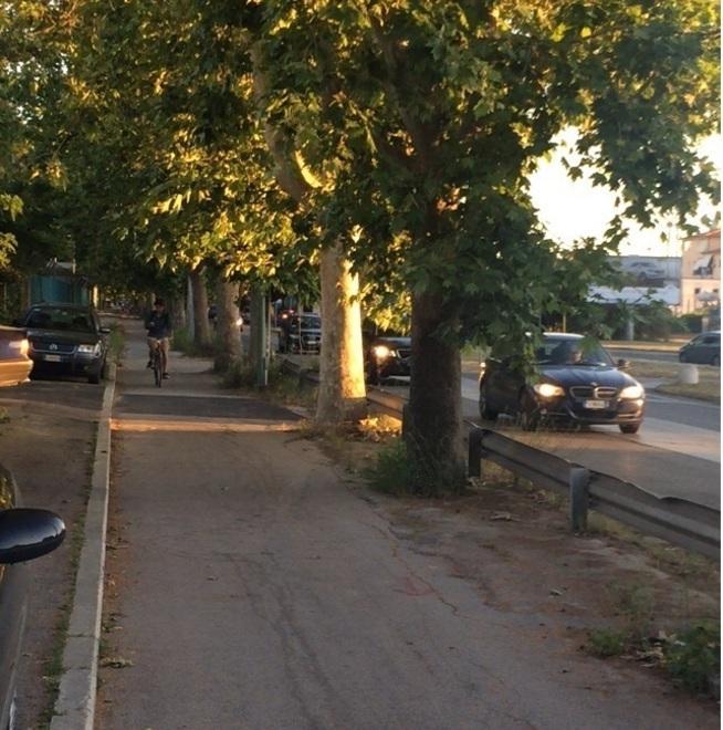 Sicuri in bicicletta per muoversi meglio 