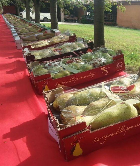 Un focus dedicato alla pera L’appuntamento a Villa Mari