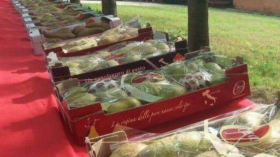 Un focus dedicato alla pera L’appuntamento a Villa Mari