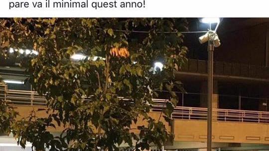 L'immagine postata su Facebook dell'uomo nudo in piazza del Popolo
