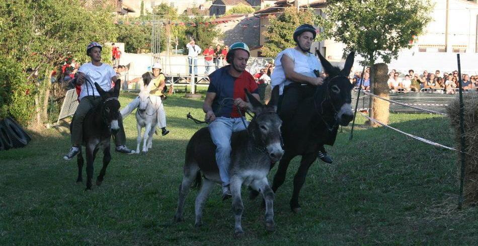 «Ciuchi maltrattati per farci il palio» 