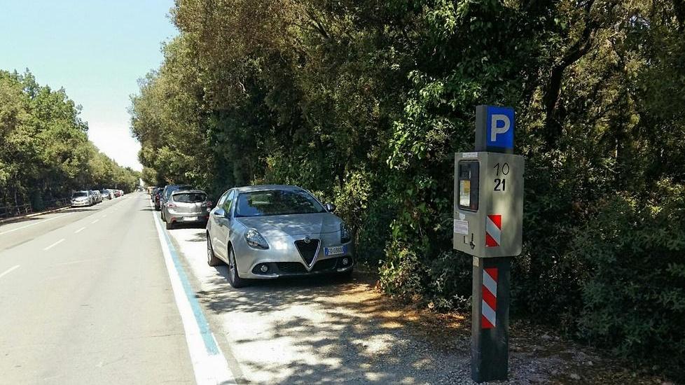 Caos sosta sulla Principessa no alla mozione in consiglio