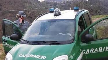 Carabinieri Forestale: Cipriani a Pistoia, al suo posto Pettinà