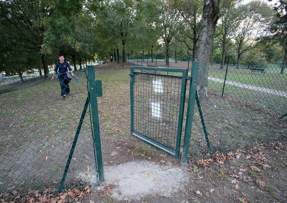 Ferita da cani nell’area sgambate