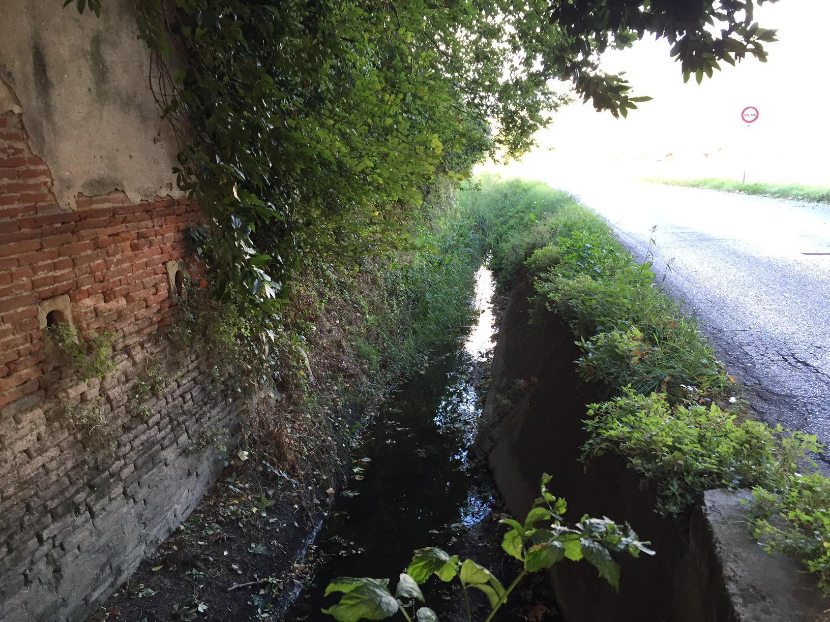 Il fosso Mariana Schippisi