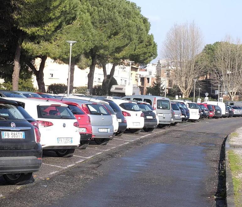 Su lungarno Guadalongo in corso l’asfaltatura