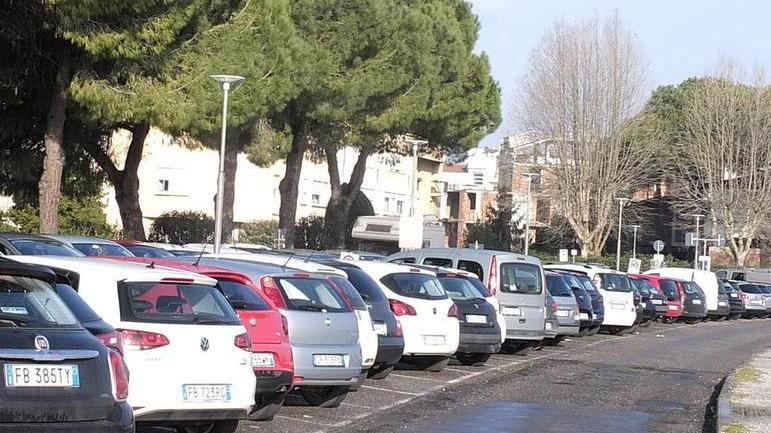 Su lungarno Guadalongo in corso l’asfaltatura