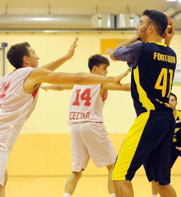 Basket Golfo, un altro test a Livorno 
