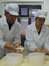 I mastri casari portano nelle Langhe “bufalini” e pecorini 