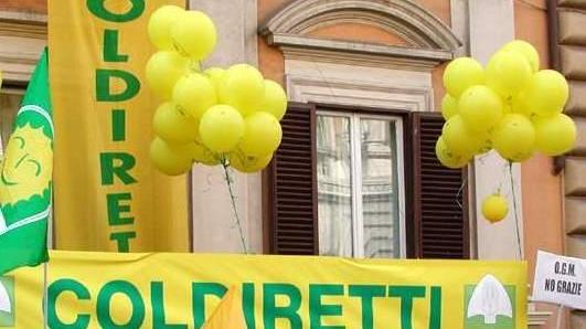 Coldiretti: terre agricole al minimo storico