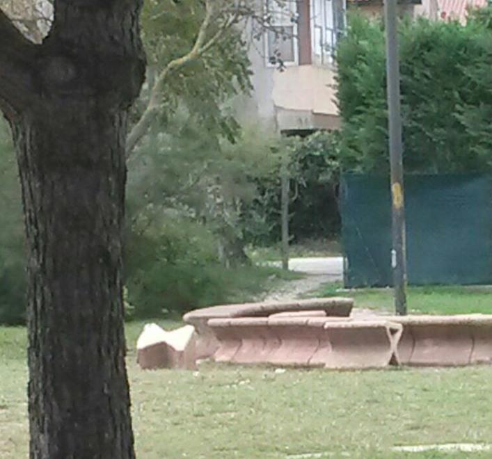 Rifiuti e degrado al parco «Area cani tenuta meglio» 