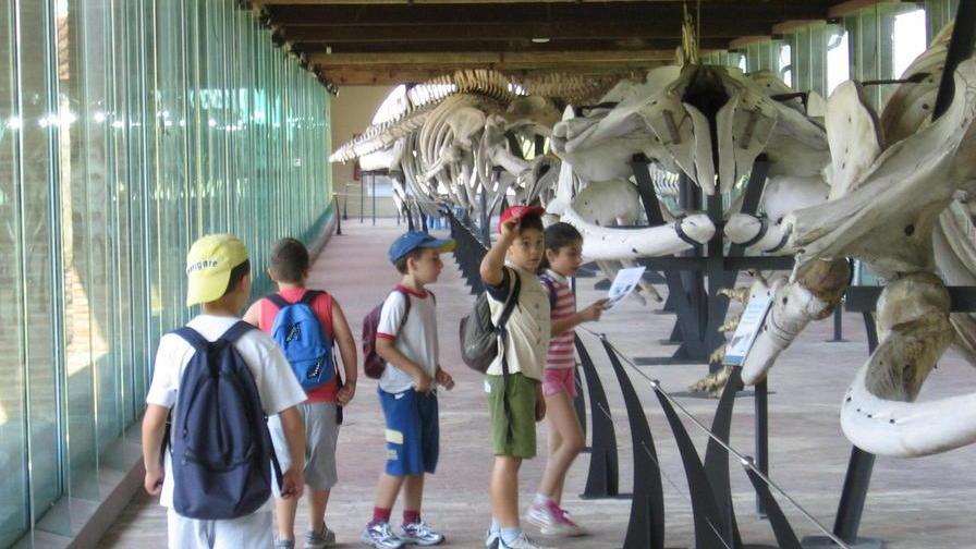 Turismo, Calci brinda all’aumento di presenze