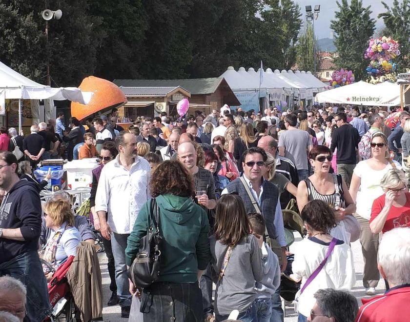 Un’estate alla grande tra sagre, mostre ed eventi