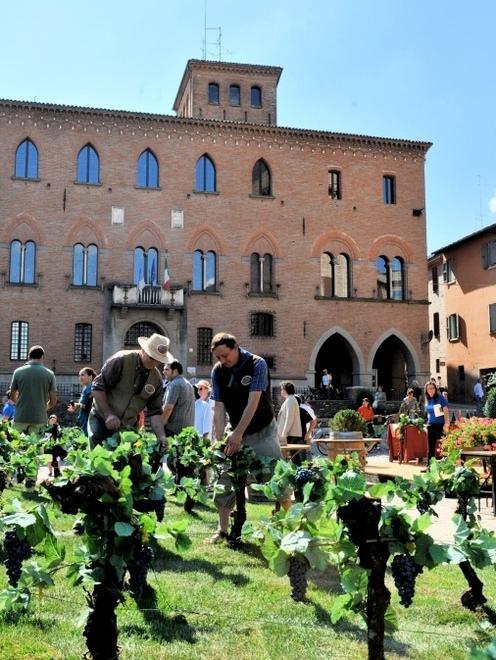 Il Grasparossa si prende la piazza 