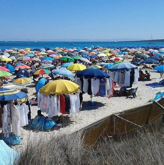 Il Fai: «Un atto di coraggio per salvare la Pelosa» 