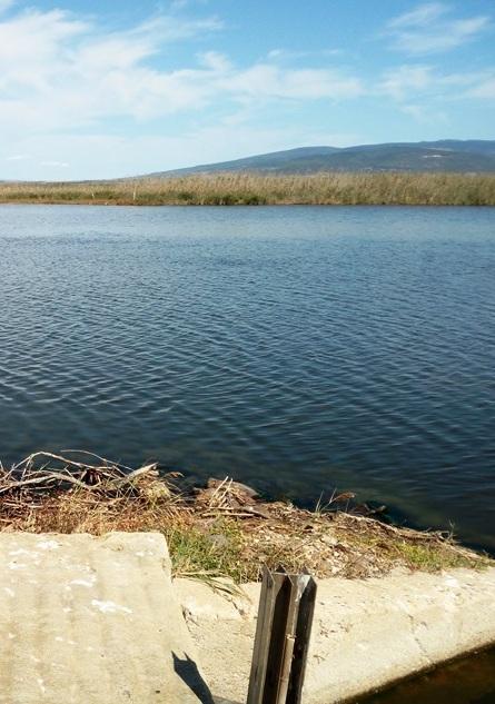Mar’e Foghe, sparito il giacinto d’acqua che infestava il fiume 