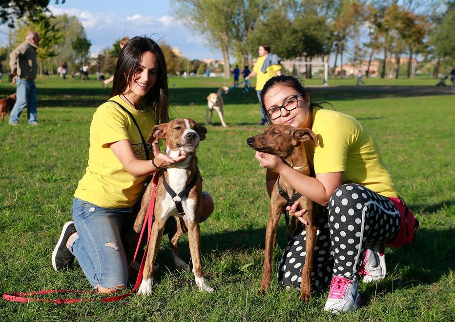 Modena, Parco Ferrari “Un mondo a quattro zampe” fa il pieno di cani e padroni 