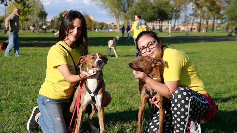 Modena, Parco Ferrari “Un mondo a quattro zampe” fa il pieno di cani e padroni