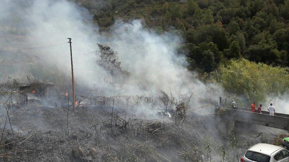 L'incendio a Pomonte (foto di Beppe Tanelli)