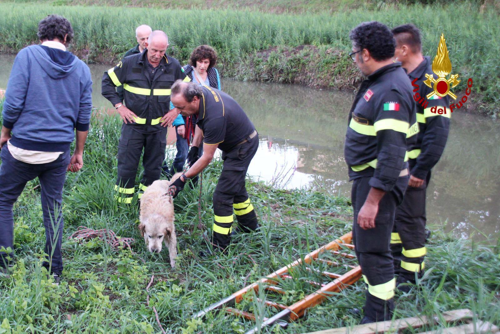 I momenti successivi al salvataggio