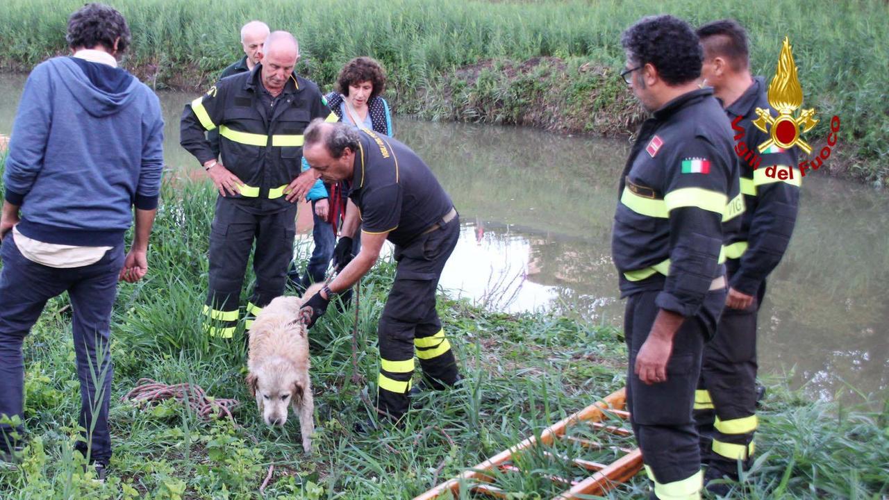 I momenti successivi al salvataggio