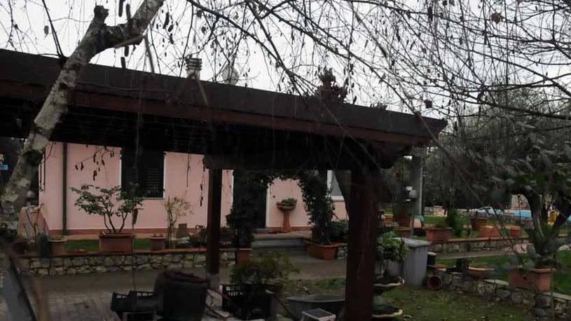 Sequestro Calevo, Cassazione conferma 12 anni per Shota