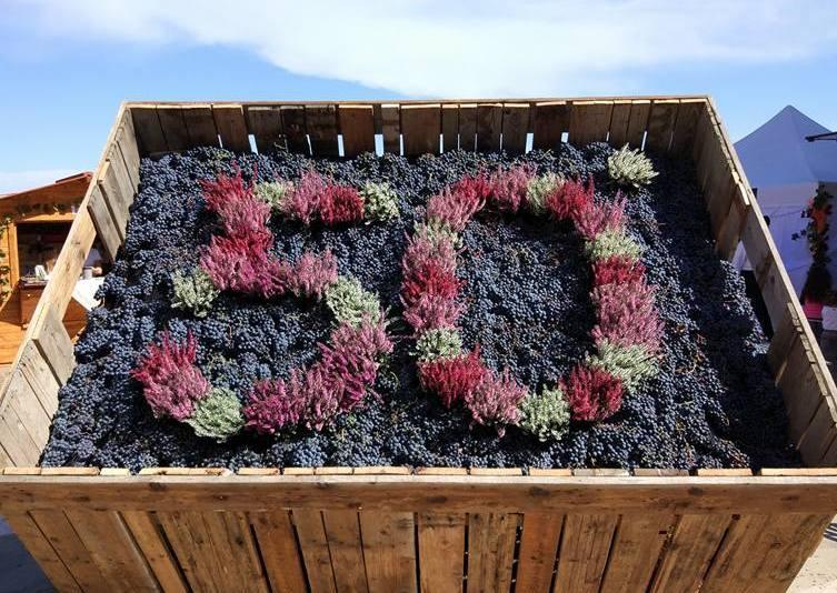 La sagra del lambrusco fa subito il pieno