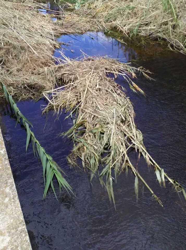 Olbia, con i fondi regionali il Comune pulirà 23 canali 